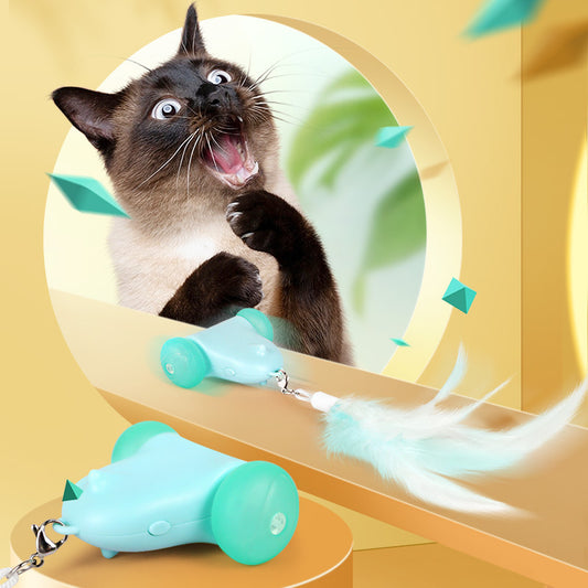 Cat Toy Smart Torque