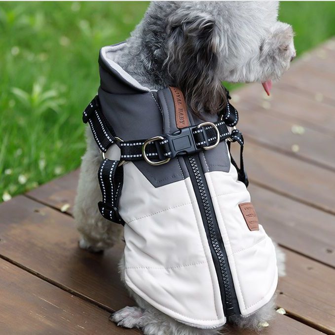 Winter Warm Dog Can Bring Towing Ring Vest