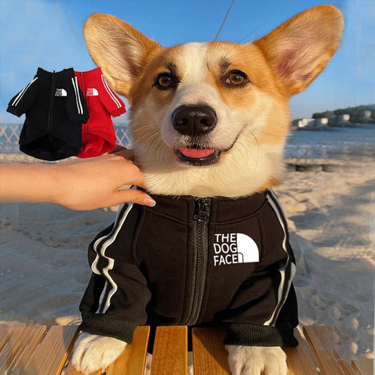 Zipper Hoodie - Autumn & Winter Pet Clothes