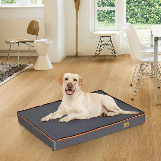 Orthopedic Dog Bed