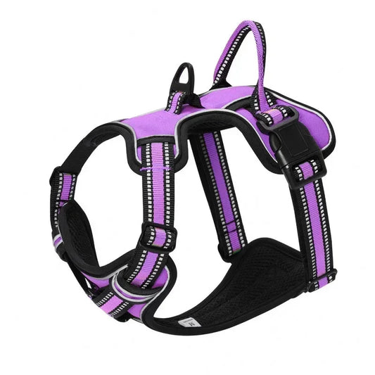 Eco friendly and High Quality Dog Harness