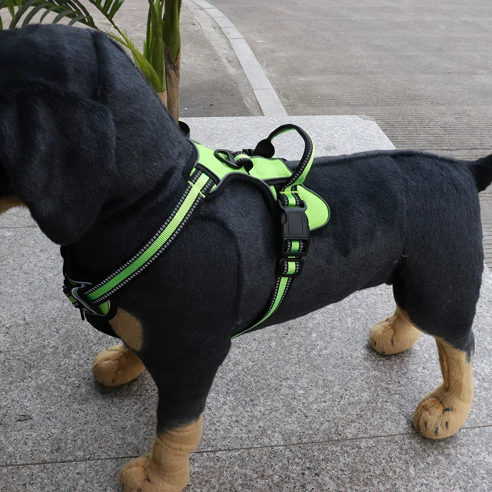 Eco friendly and High Quality Dog Harness